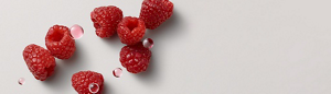 PRODUCT DETAIL INGREDIENTS - IPAD LANDSCAPE - 1024 X 292-Red Raspberry Seed Oil
